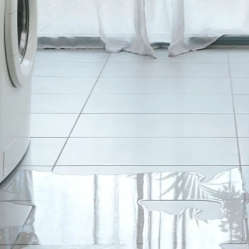 Appliance Leak Cleanup in North Yelm, WA