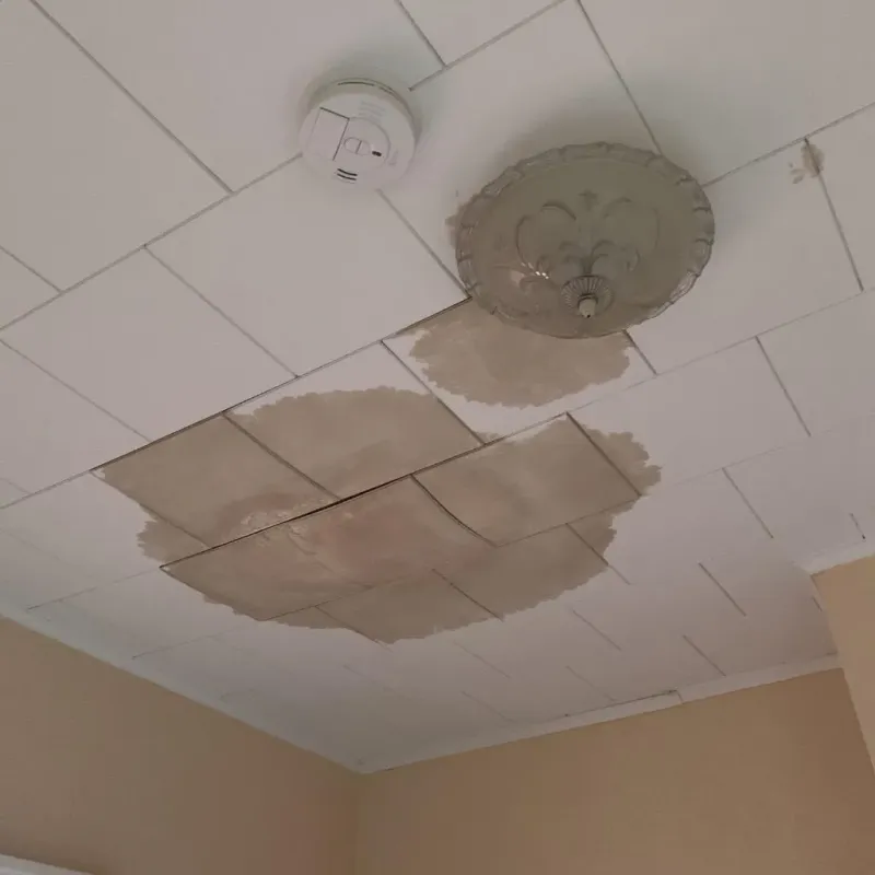 Ceiling Water Damage Repair in North Yelm, WA
