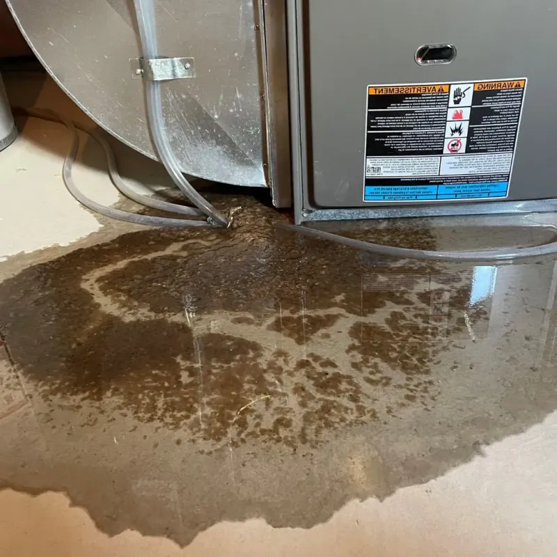 Pipe Burst and Leak Restoration in North Yelm, WA