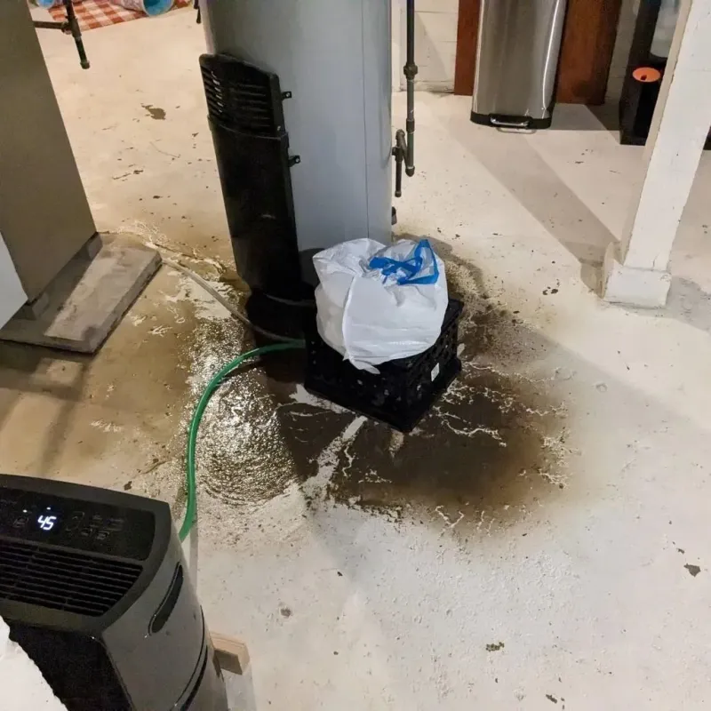 Sewage Backup Cleanup Service in North Yelm, WA